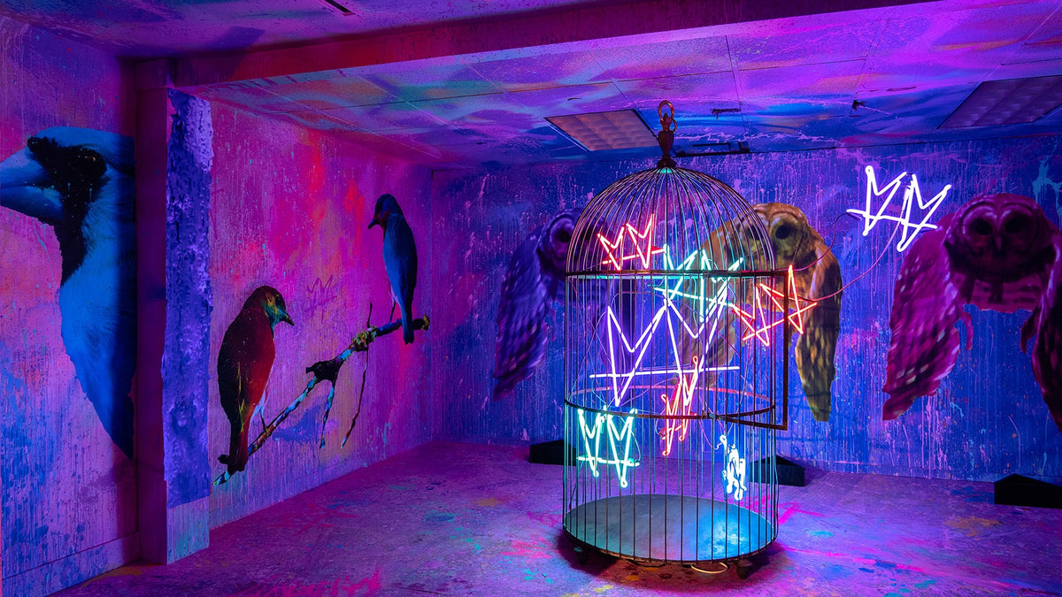 The Crescent by not.travis, painted room with birdcage and neon hearts, Dallas, 2019