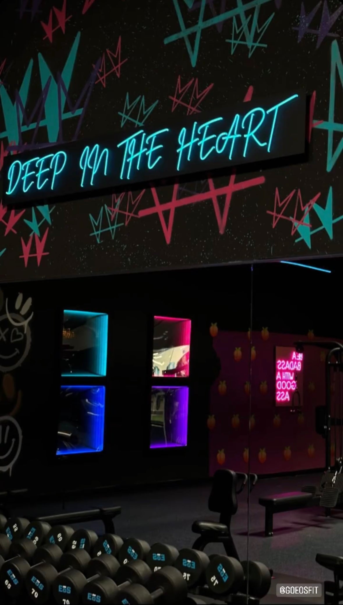 Painted wall pattern inside an EOS Fitness gym with illuminated words above